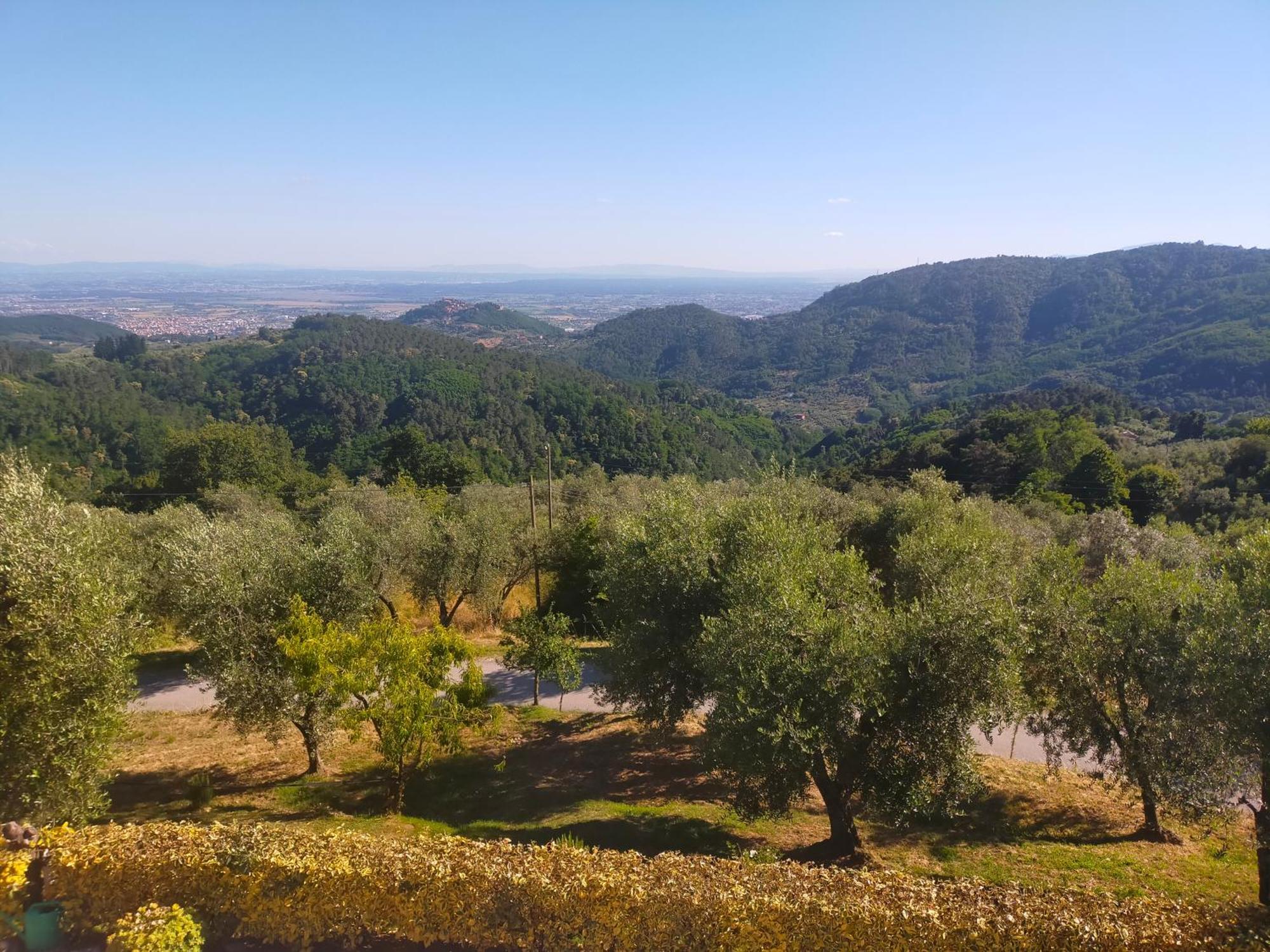 Agriturismo Il Bel Vedere Bed & Breakfast Marliana Екстериор снимка